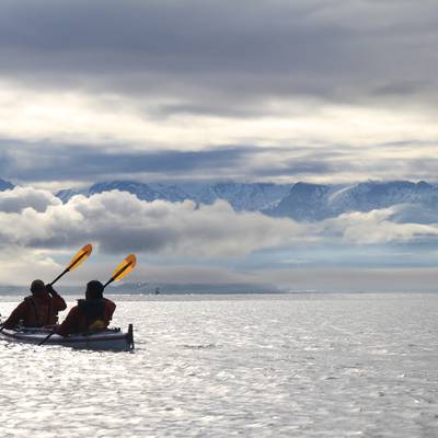 Sea Kayaking Alaska's Prince William Sound - Alumni